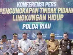 Kapolda Riau Geram, 115 Hektare Mangrove di Rohil Rusak Akibat Alat Berat