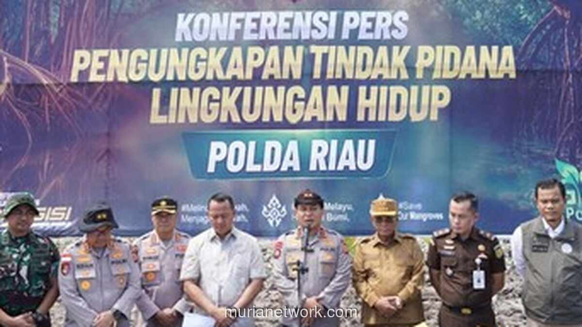 Kapolda Riau Geram, 115 Hektare Mangrove di Rohil Rusak Akibat Alat Berat