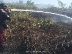 Karhutla Kepung Kotawaringin Barat, 8 Hektare Lahan Hangus dalam Dua Hari