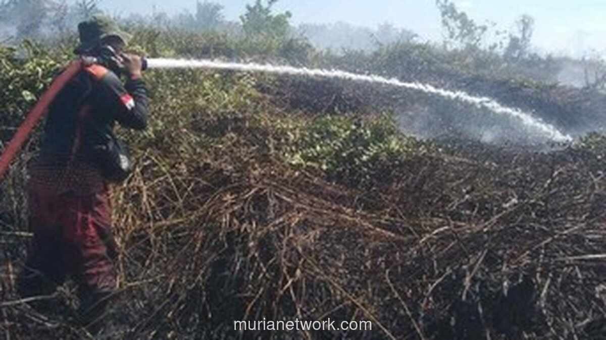 Karhutla Kepung Kotawaringin Barat, 8 Hektare Lahan Hangus dalam Dua Hari