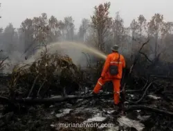 Karhutla Dominasi Bencana Akhir Pekan, Sejumlah Daerah Juga Dilanda Banjir dan Longsor