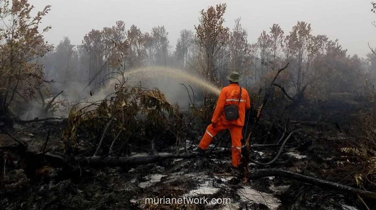 Karhutla Dominasi Bencana Akhir Pekan, Sejumlah Daerah Juga Dilanda Banjir dan Longsor
