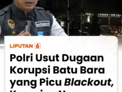 PLN Disarankan Miliki Tambang Batu Bara Sendiri demi Kedaulatan Listrik Rakyat