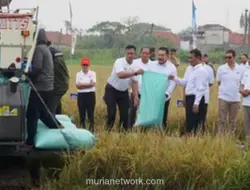 Kejagung Luncurkan Aplikasi EWS Jaga Desa untuk Awasi Distribusi Pupuk Bersubsidi