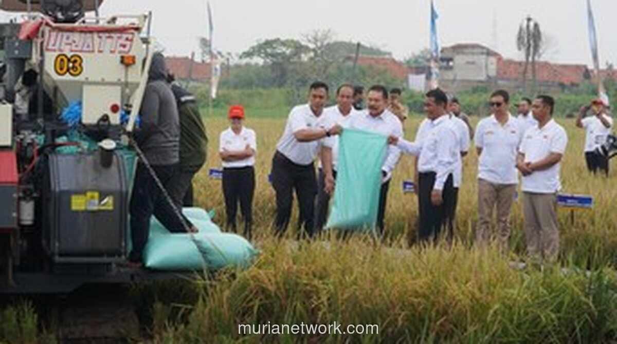 Kejagung Luncurkan Aplikasi EWS Jaga Desa untuk Awasi Distribusi Pupuk Bersubsidi