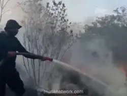 Kebakaran Hutan Landa Gunung Ciremai, Belasan Hektare Ludes