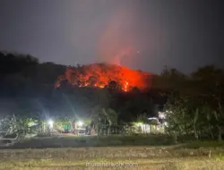 Kebakaran Hutan Landa Dua Perbukitan di Imogiri, 8 Hektare Ludes