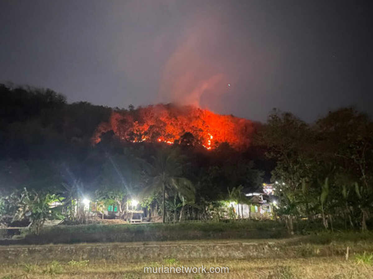 Kebakaran Hutan Landa Dua Perbukitan di Imogiri, 8 Hektare Ludes