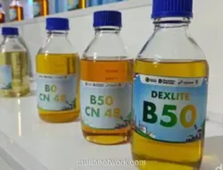 B50 dan Metafora Kepiting: Ujian Tata Kelola Sawit Indonesia