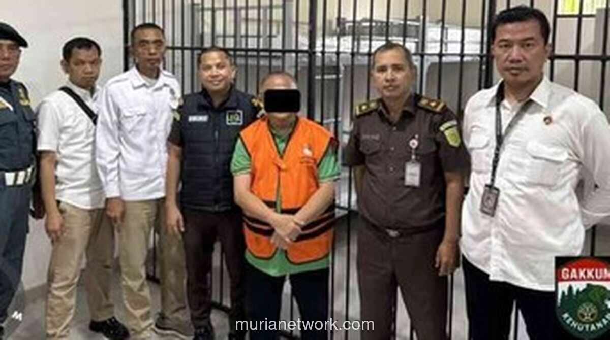 Kemenhut Buru Jaringan Internasional di Balik Penyelundupan 3 Ton Sisik Trenggiling