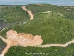 Korporasi Ditetapkan sebagai Tersangka Perambahan Hutan Lindung di Batam