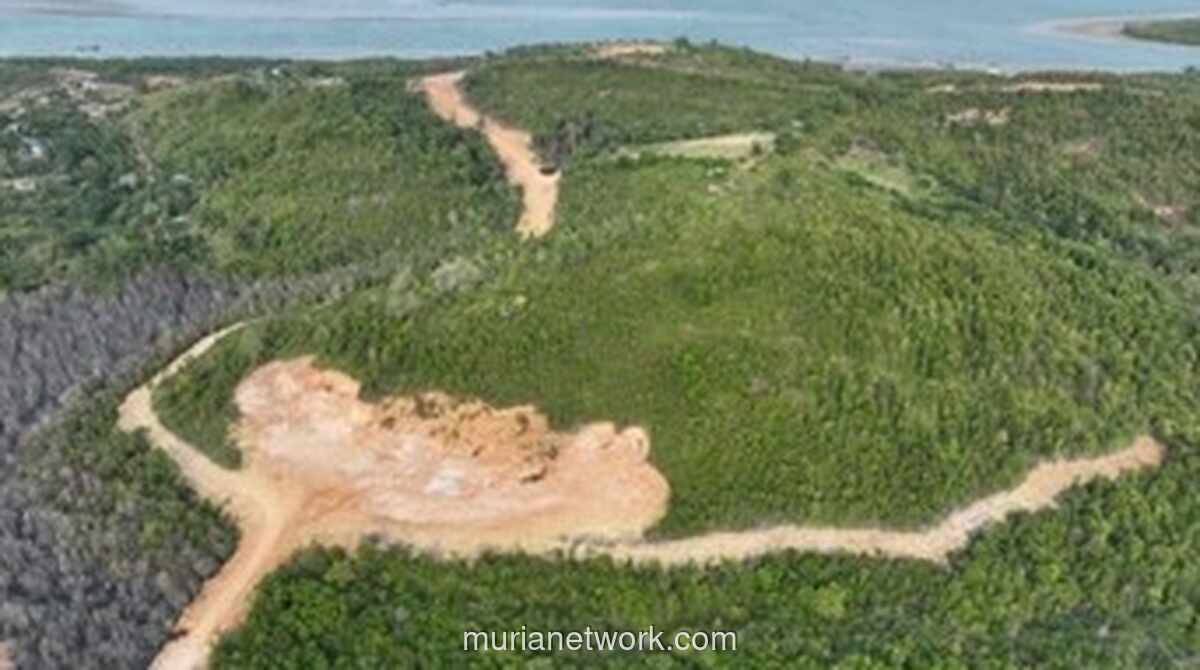 Korporasi Ditetapkan sebagai Tersangka Perambahan Hutan Lindung di Batam