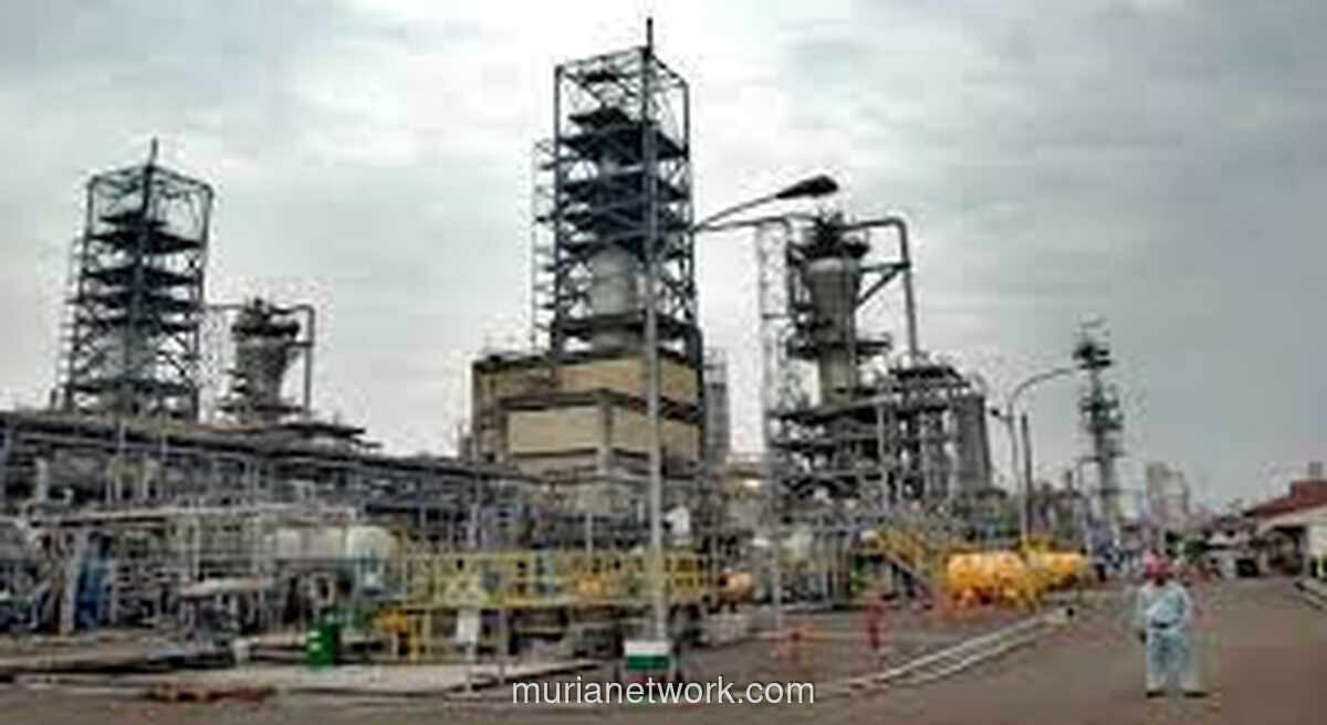 Industri Kimia Tumbuh 7,41 Persen, Kemenperin Wajibkan Pengelolaan Keselamatan Berkelanjutan