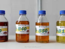 Pemerintah Dorong Riset Mendalam untuk Wujudkan B60