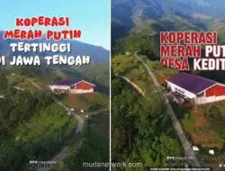 Dana Desa Terjebak Kewajiban Pendirian KDMP, Pembangunan Terhambat