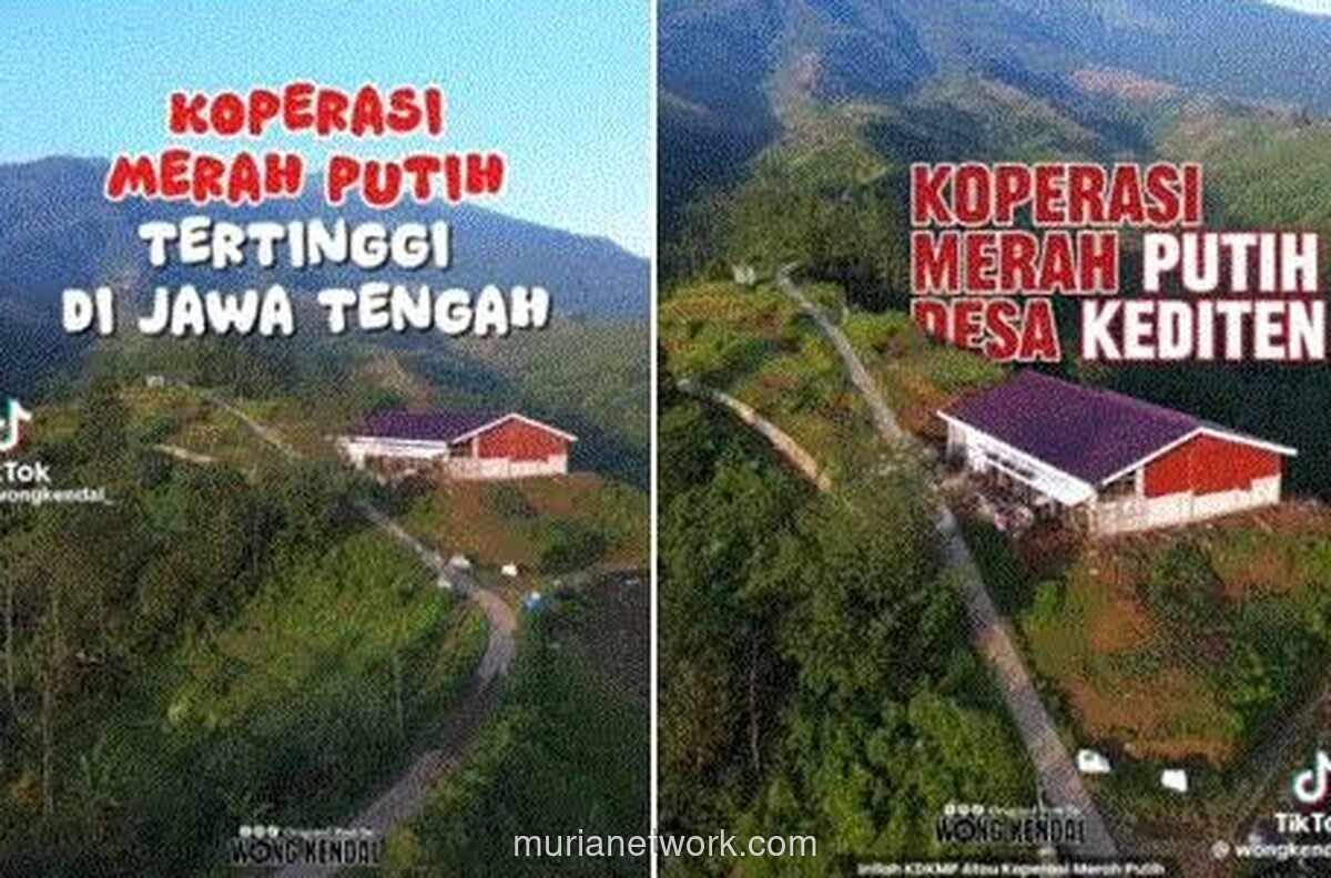 Dana Desa Terjebak Kewajiban Pendirian KDMP, Pembangunan Terhambat