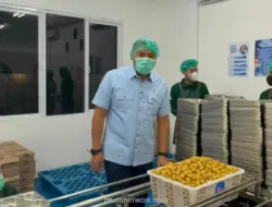 Kepala BGN Sidak Dapur Makan Bergizi Gratis, Ingatkan Petugas Bekerja Pakai Hati