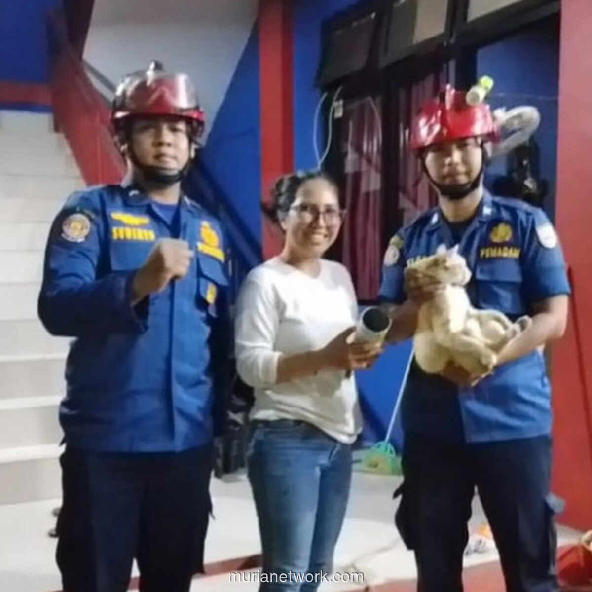Kucing di Depok Selamat dari Kaleng Makanan yang Menjerat Kepalanya
