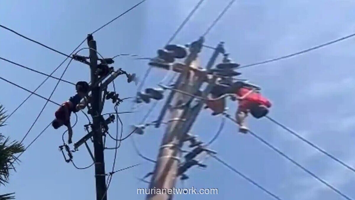 Pria Tersengat Listrik saat Hendak Curi Kabel di Pontianak, Sempat Diperingatkan Warga