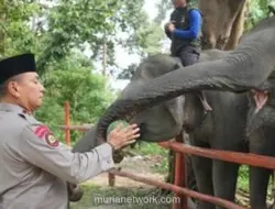 Kapolda Riau Kunjungi Pusat Latih Gajah, Tegaskan Komitmen Polri pada Konservasi Satwa