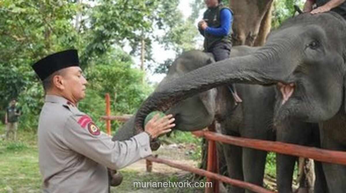 Kapolda Riau Kunjungi Pusat Latih Gajah, Tegaskan Komitmen Polri pada Konservasi Satwa