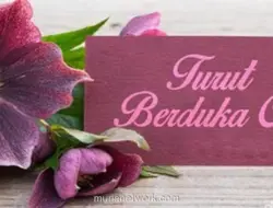 Bachtiar Aly, Mantan Dubes RI untuk Mesir, Meninggal Dunia
