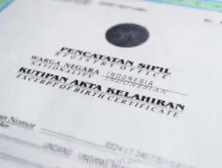 Ajukan Akta Kelahiran Anak Kini Bisa Lewat Aplikasi IKD, Begini Caranya