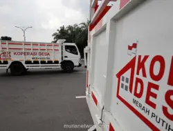 Operasional Koperasi Desa Merah Putih Dimulai Bertahap Agustus 2026