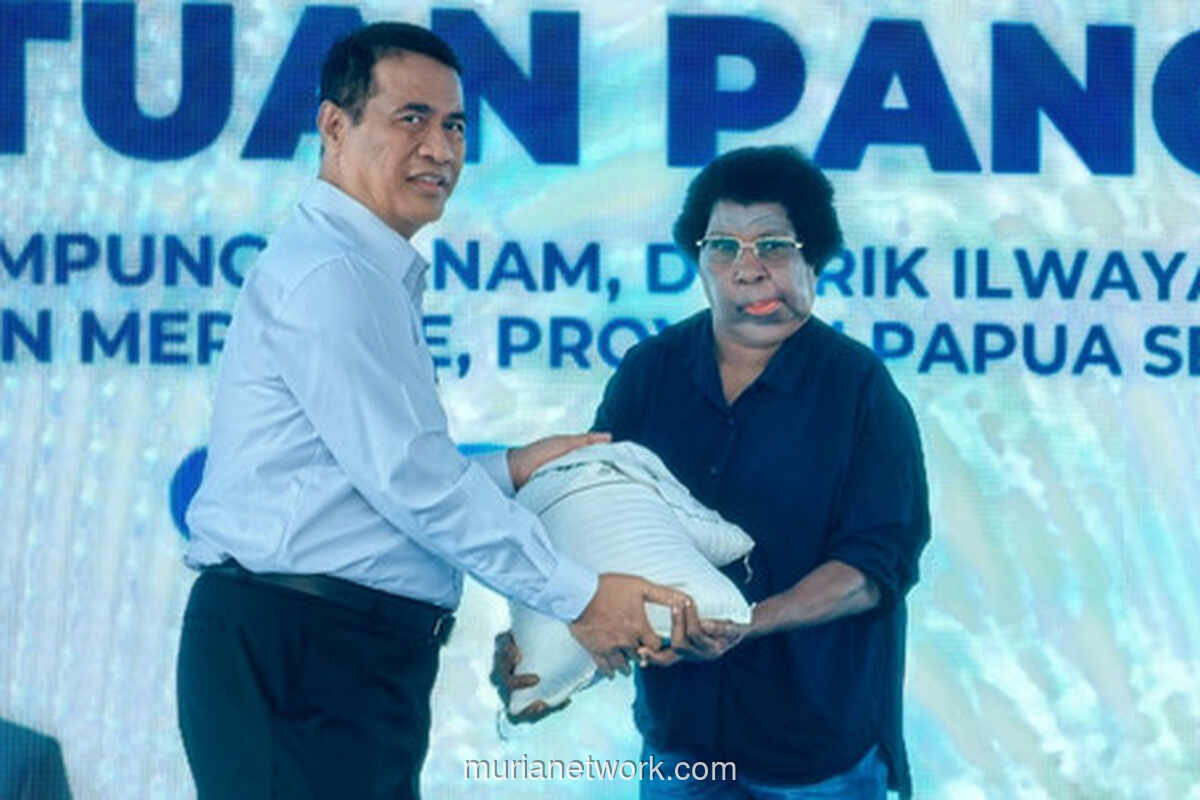 Program Cetak Sawah di Merauke Terbukti Tingkatkan Produksi dan Kesejahteraan Petani