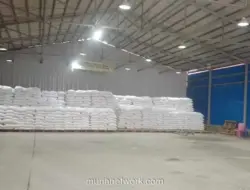 Stok Beras Pemerintah Capai 5,24 Juta Ton, Bapanas Optimis Hadapi El Nino