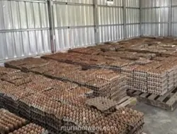 Napi di Lapas Ciangir Dapat Upah Rp800 Ribu per Bulan dari Beternak Ayam dan Kambing