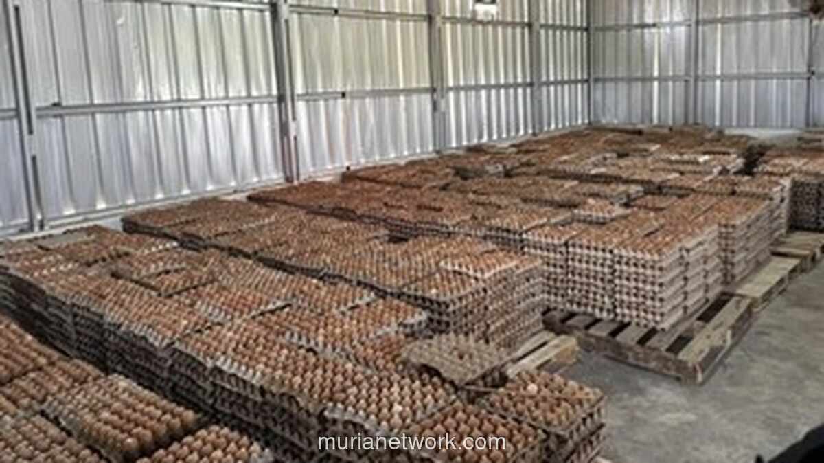 Napi di Lapas Ciangir Dapat Upah Rp800 Ribu per Bulan dari Beternak Ayam dan Kambing