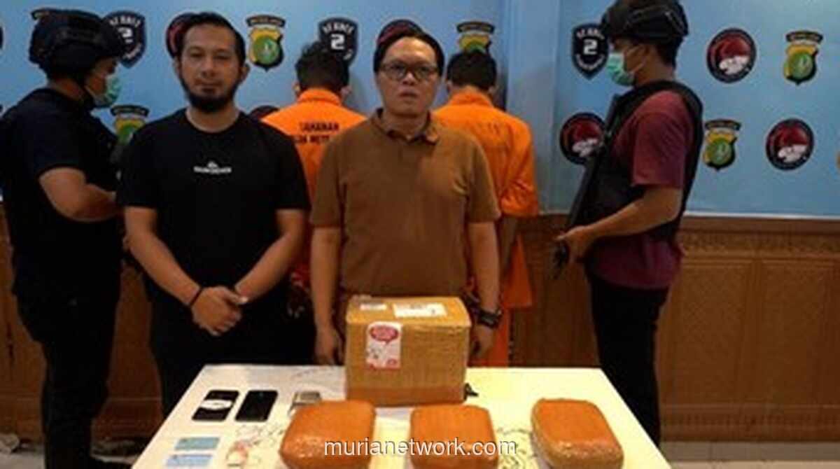 Polisi Tangkap Dua Pengedar Ganja dengan Modus Kirim Paket Ekspedisi di Tangerang