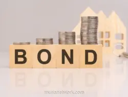 Penerbitan Panda Bond Laris Manis, Kemenkeu Kantongi Rp18,47 Triliun