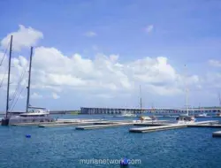 Pelindo Operasikan Dua Dermaga Marina di Benoa, Target Tampung 180 Kapal Pesiar pada 2027