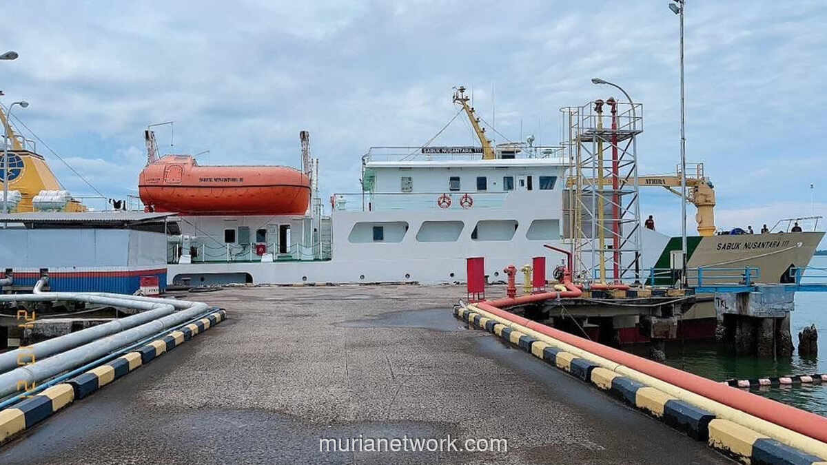 Penghentian Kapal Perintis Berpotensi Picu Inflasi di Wilayah 3T