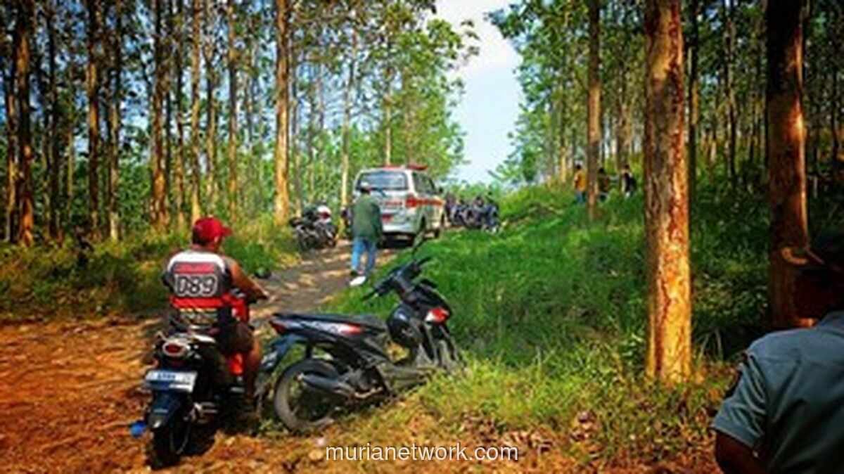 Pembunuh Wanita Tinggal Kerangka di Sukabumi Ditangkap, Pelaku Viralkan Video Evakuasi