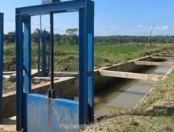 Setelah 30 Tahun Terabaikan, Irigasi di Banten Dibangun dengan Dana Rp 985 Miliar