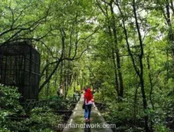 Pemerintah Perkuat Pengawasan Hutan dengan Drone untuk Deteksi Dini Gangguan