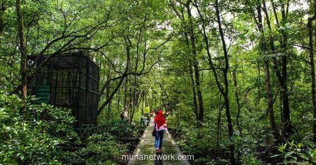 Pemerintah Perkuat Pengawasan Hutan dengan Drone untuk Deteksi Dini Gangguan