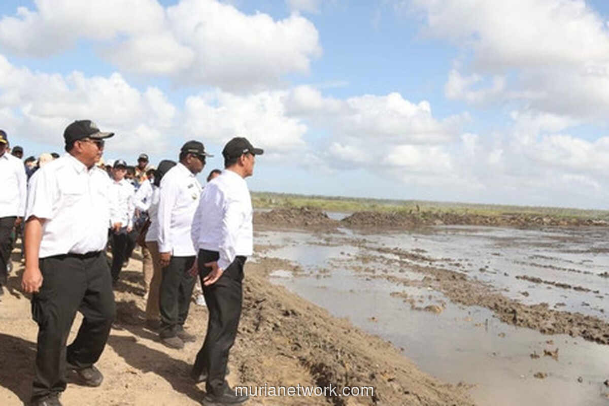 Pemerintah Kembangkan 83 Ribu Hektare Cetak Sawah di Papua, Merauke Jadi Pusat Pangan