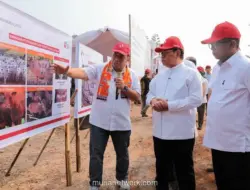 Pemprov DKI Siapkan Kawasan Peternakan Terintegrasi di Ciangir, Tampung 5.000 Sapi