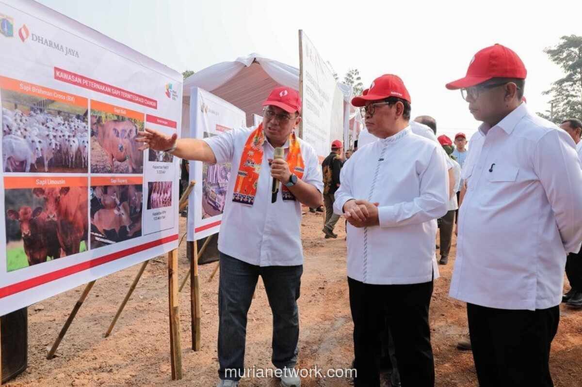 Pemprov DKI Siapkan Kawasan Peternakan Terintegrasi di Ciangir, Tampung 5.000 Sapi