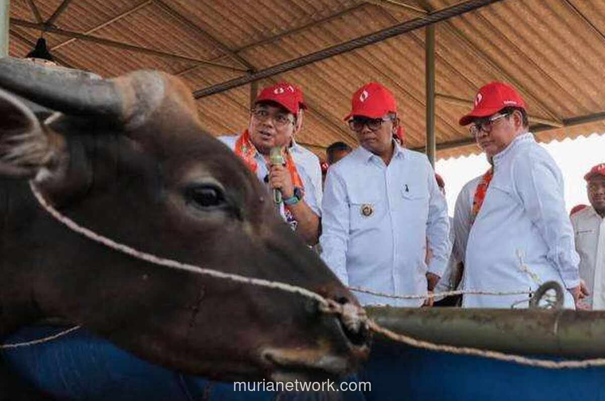 Pemprov DKI Pastikan Lahan Ciangir untuk Kawasan Peternakan, Bukan Pengganti Bantargebang