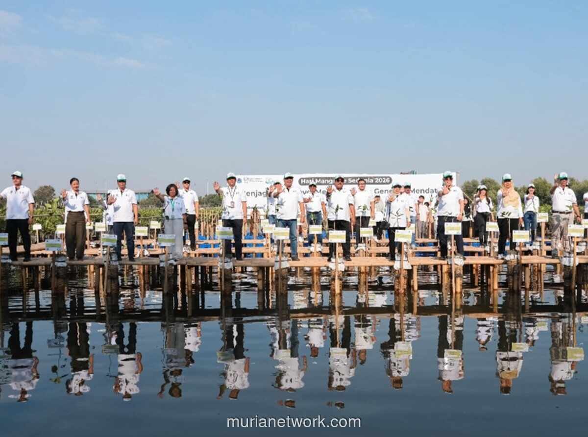 Pemprov DKI Tanam 24.310 Bibit Mangrove di Lima Kawasan Pesisir Jakarta