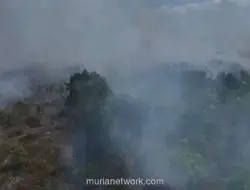 Kebakaran Lahan Gambut di Palangka Raya Capai 6 Hektare, Angin Jadi Kendala Pemadaman