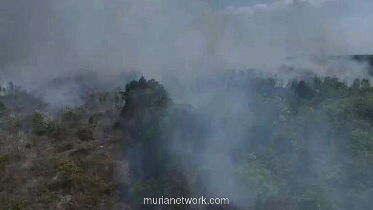 Kebakaran Lahan Gambut di Palangka Raya Capai 6 Hektare, Angin Jadi Kendala Pemadaman