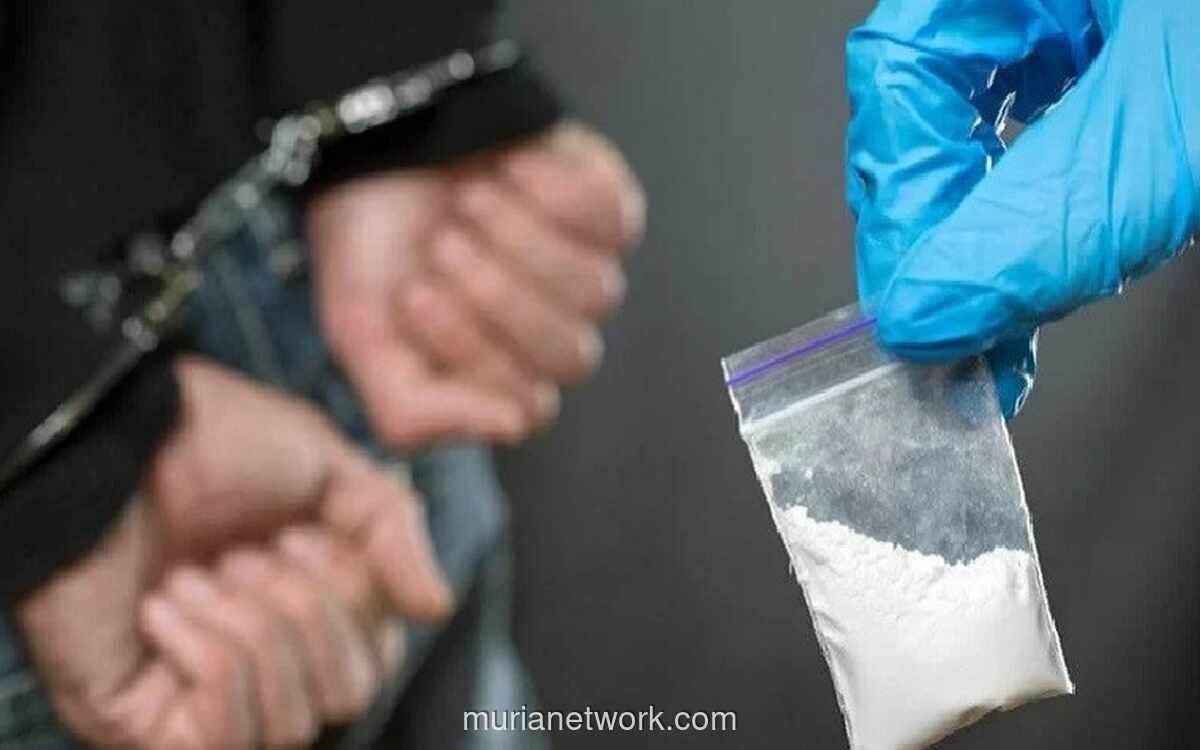 Polisi Tangkap Pengedar Narkoba di Temanggung, Sita 12 Paket Sabu dan Ganja