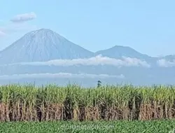 Jalur Pendakian Gunung Semeru Ditutup 7-18 Agustus 2026 untuk Hari Raya Karo