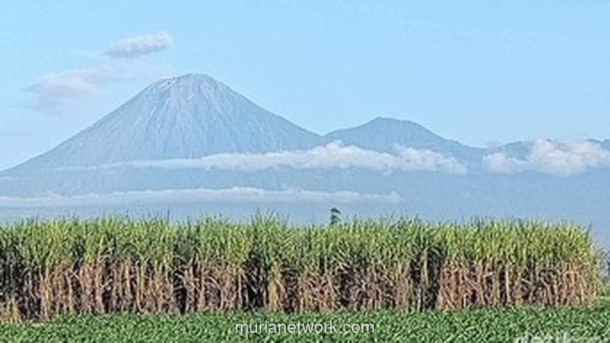 Jalur Pendakian Gunung Semeru Ditutup 7-18 Agustus 2026 untuk Hari Raya Karo